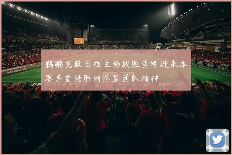 鹈鹕克服困难主场战胜黄蜂迎来本赛季首场胜利尽显团队精神